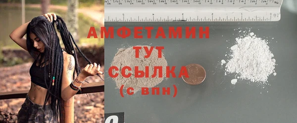шишки Заводоуковск