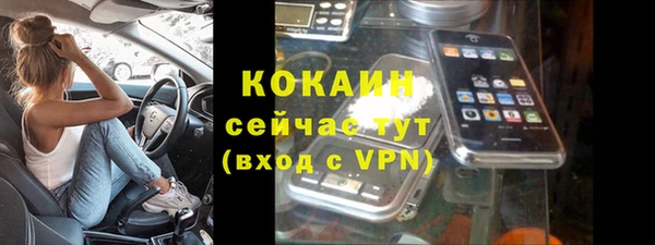 шишки Заводоуковск