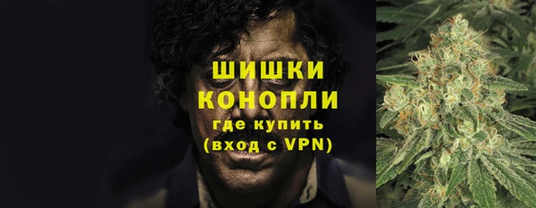 мдпв Новозыбков