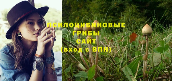 ГАЛЛЮЦИНОГЕННЫЕ ГРИБЫ Заволжье