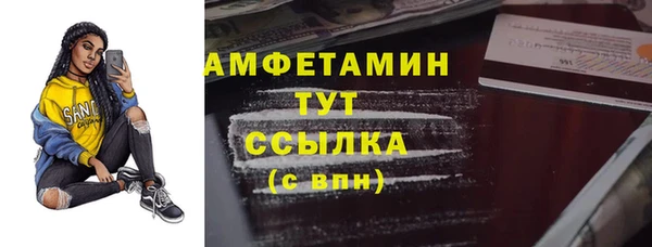 шишки Заводоуковск