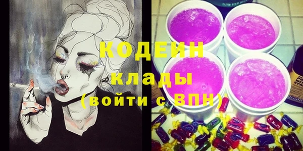 мдпв Новозыбков