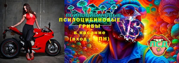 мдпв Новозыбков